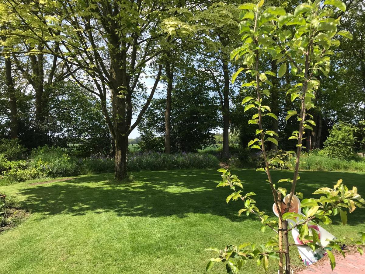 엑슬루 Het Uilennest B&B 외부 사진